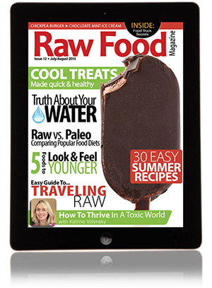 raw food magazine summer raw food recipe issue