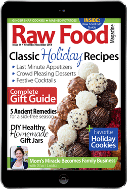 raw food recipes magazine holiday gift guide